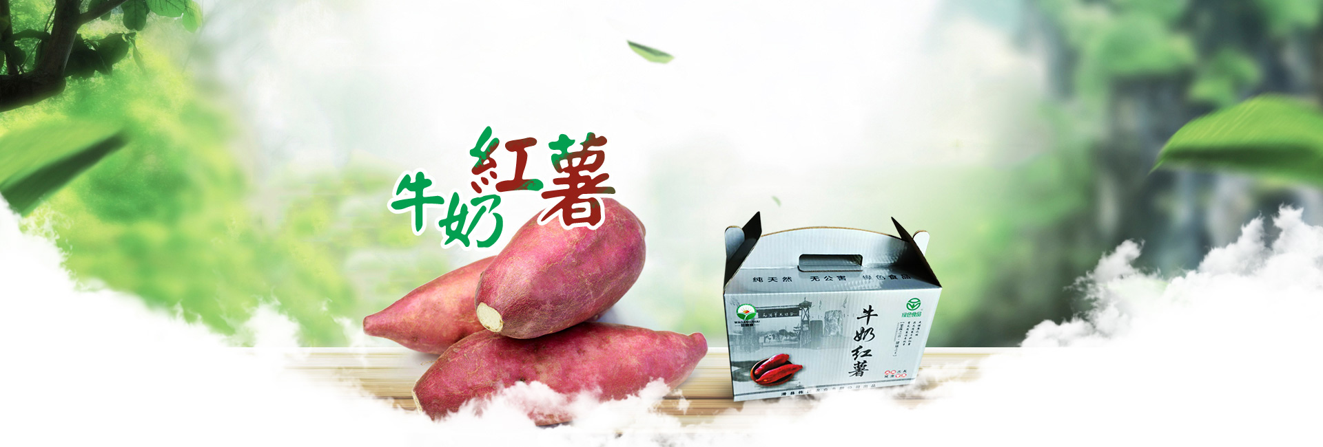 滑县伟民农业开发有限公司